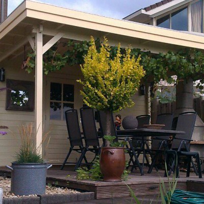 houten chalet